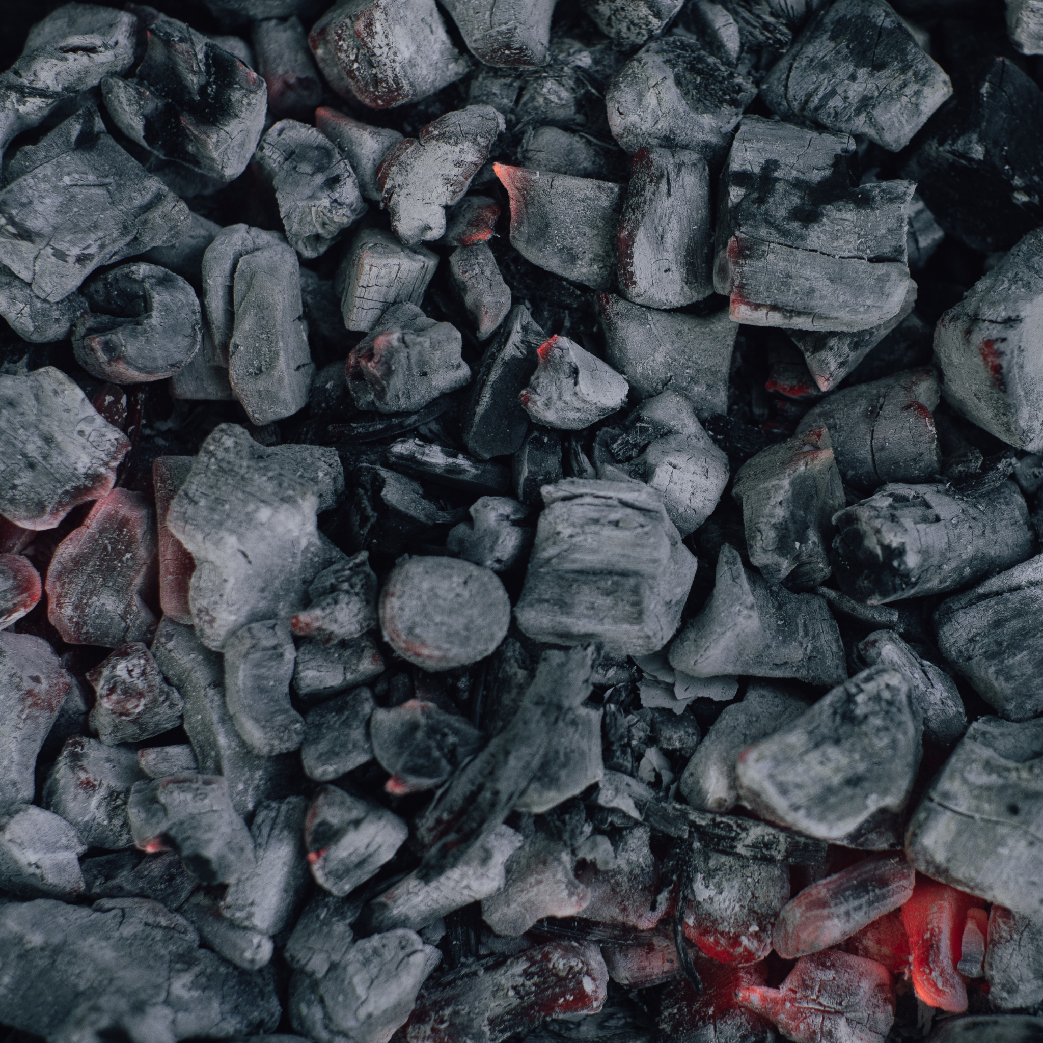 Verschil tussen houtskool en briketten